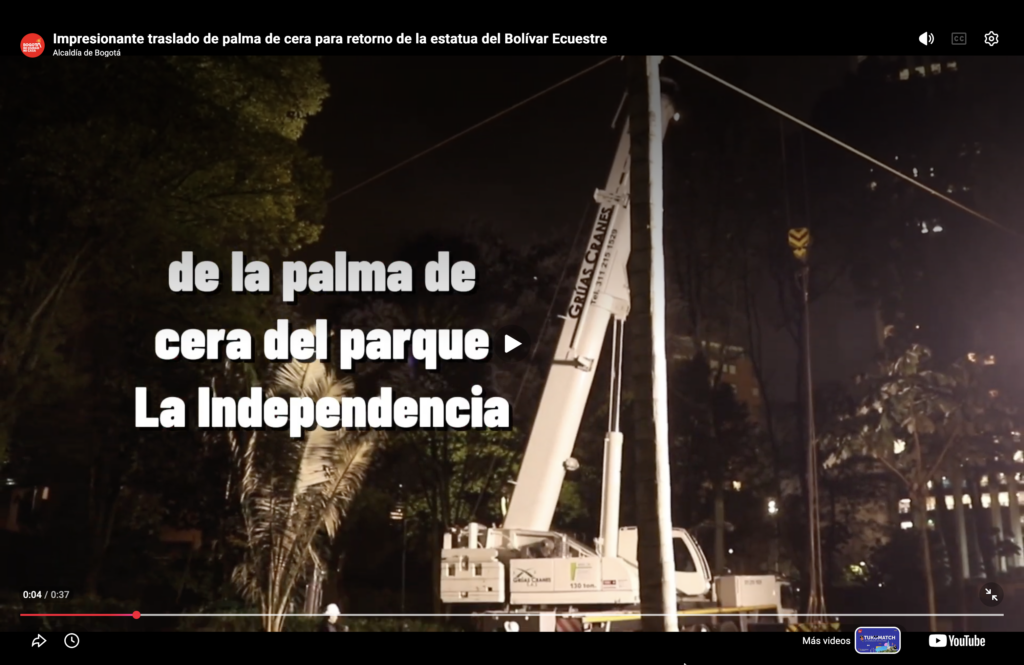 Video: Impresionante traslado de palma de cera para retorno del Bolívar Ecuestre